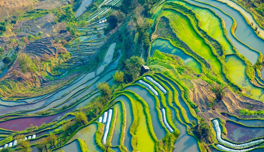 宝妈必备神器：阳泉产品视频拍摄轻松育儿好帮手