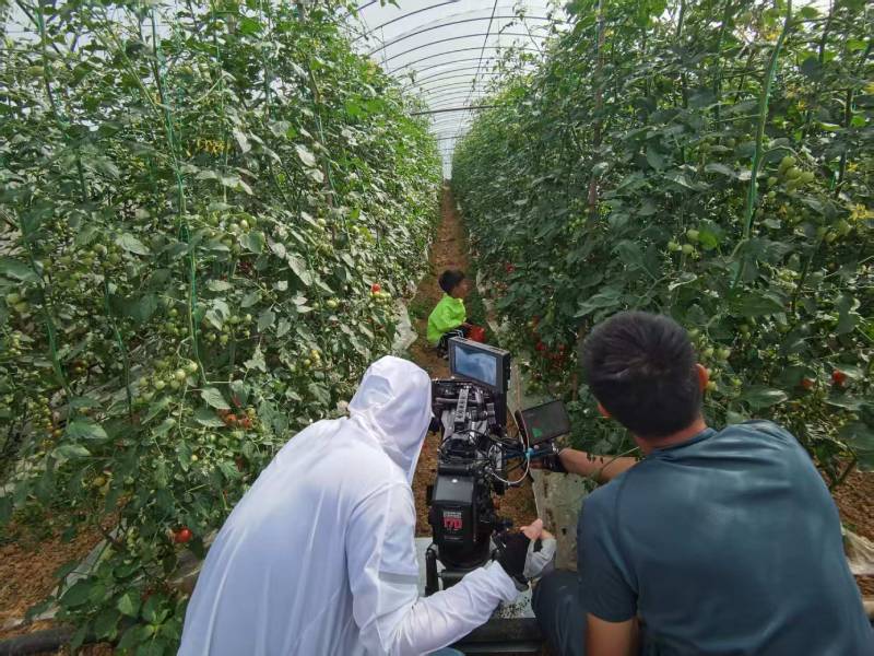 阳泉产品宣传视频拍摄公司进阶指南，助力品牌抢占传播高地